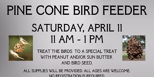 Pine Cone Bird Feeder