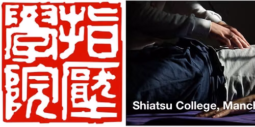 Introduction to shiatsu and acupressure