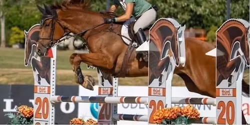 Ashleigh Charity Clinic 