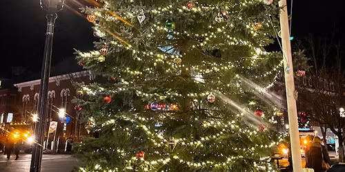 Tree Lighting - Portsmouth NH
