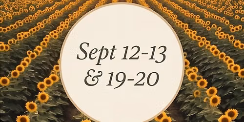 Sunflower Festival Weekend 1