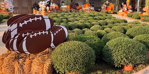 Fall Opening At White House Fruit Farm