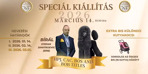 MUT SPECIALITY POODLE SHOW