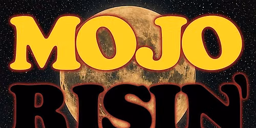 Mojo Risin' A Doors Tribute Band