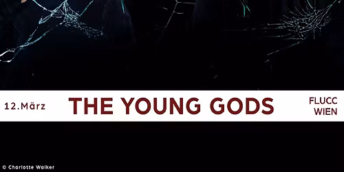 THE YOUNG GODS \u2022 Wien \u2022 FLUCC