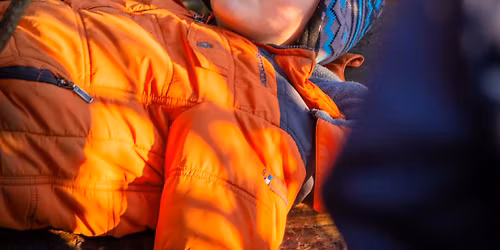 Waldwunder - den Wald mit allen Sinnen entdecken