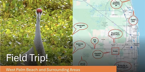 Field Trip - West Palm Beach and Surrounds with Sue Killeen