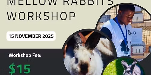 Rabbit workshop