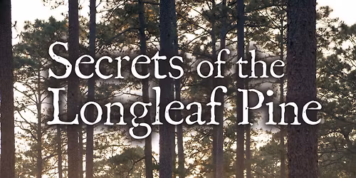 Secrets of The Longleaf Pine