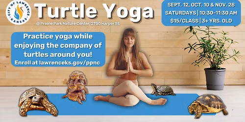 TURTLE YOGA