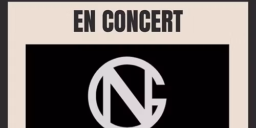 Noisy Gones en concert