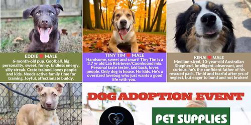 DOG ADOPTION EVENT - NAPERVILLE