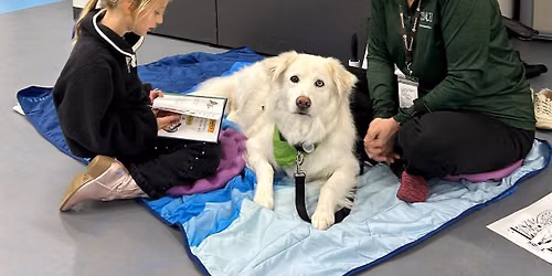 "Read with Me": Read to SOUL Harbour Ranch therapy dogs at Crystal Lake Public Library!