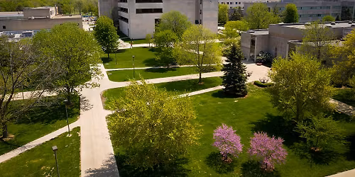 Parking - Brad Williams with J.B. Ball