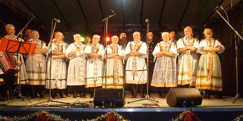 Viano\u010dn\u00fd pozdrav z Vajnor