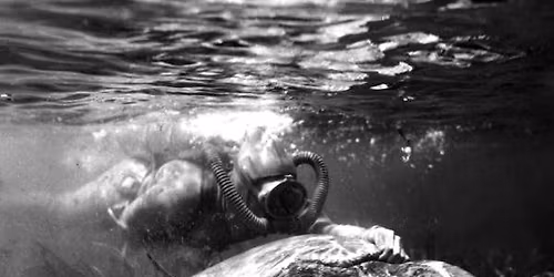 Silver Springs on the Silver Screen: A Talk by Dr. David Morton