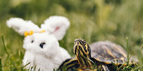 Slow Coaching for writers: monthly group mentoring with Beverley Ward