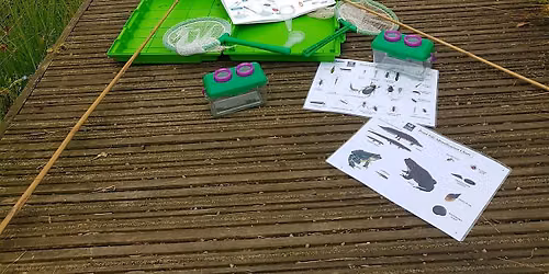 Insect-igating: Pond Dipping & Bug Hunting