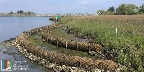 Introduction to Living Shorelines Training