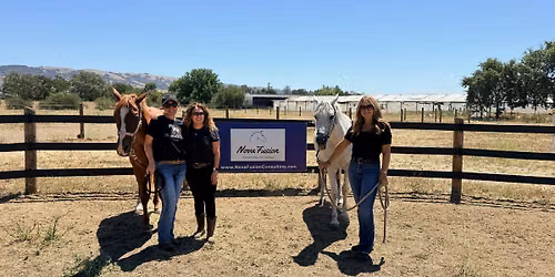 Equine-Facilitated Leadership Coaching