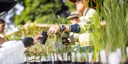 Native Plant Giveaway \u2013 Garranmanuk Park 
