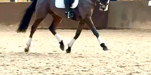 Flat work clinic with Hazel Towers