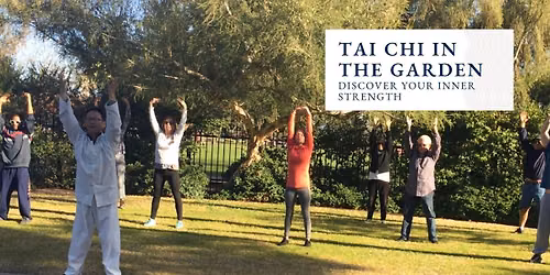 Tai Chi & Qigong Experience
