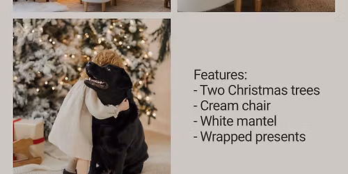 Holiday Minis @ The Ames Studio