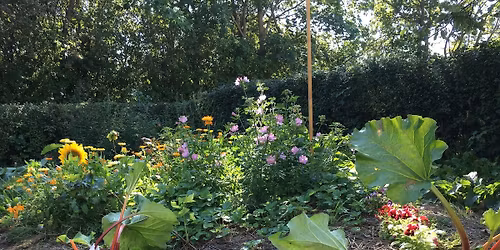 Permakultur og spiselige skovhaver