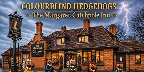 Live music with the Colourblind Hedgehogs