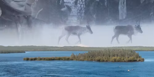 We Are Made From the Land: Film Screening and Panel Discussion