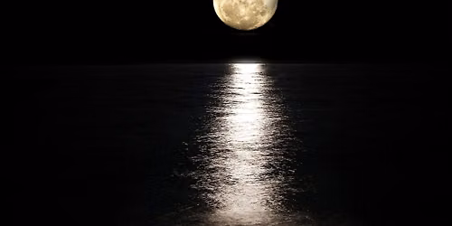 Walking On The Moon - Yoga & Wellbeing Day
