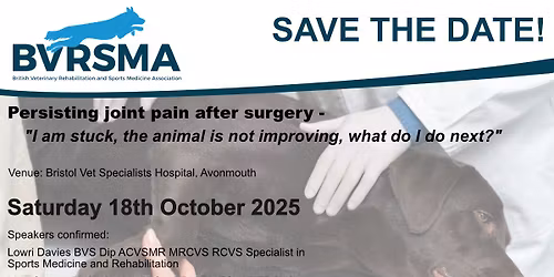 BVRSMA Conference 2025