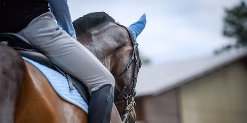 Workingov\u00fd semin\u00e1\u0159 - Hipodrom Most 29.05.2026