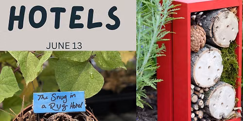 Kids' Workshop - Bug Hotels