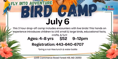 Critter Camp: Birds at The Playroom