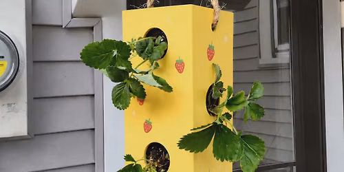 Paint & Plant