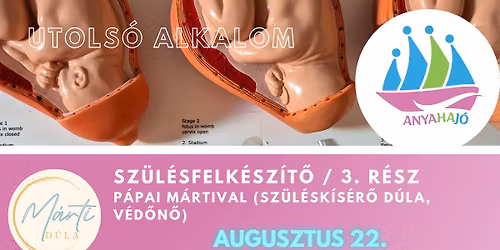 Sz\u00fcl\u00e9sfelk\u00e9sz\u00edt\u0151 3. alkalom: Alternat\u00edv forgat\u00f3k\u00f6nyvek \u00e9s a gyermek\u00e1gy id\u0151szaka