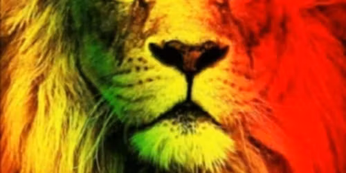 Reggae Night @ the Switchboard w\/LIVE ROOTS!