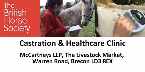 The British Horse Society Castration & Healthcare Clinic