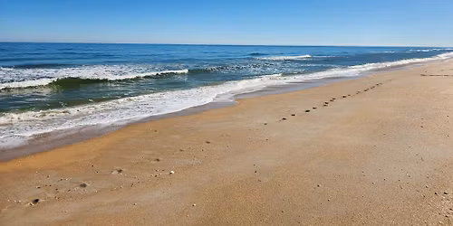 Canoe Mosquito Lagoon (Apollo District) 