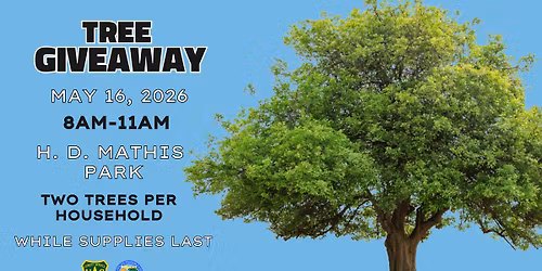 Tree Giveaway