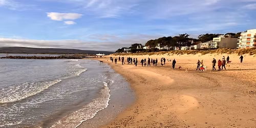 DFD Sighthounds Christmas Walk! \ud83c\udf84