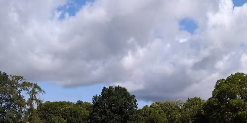 Cricket Volunteer Demo Day