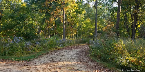 Hike Through History: Grant Woods