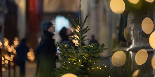 Christmas Tree Festival Lights Switch-On