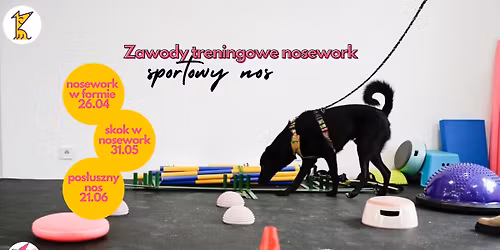 Treningowe zawody nosework - 1. NOSework w formie