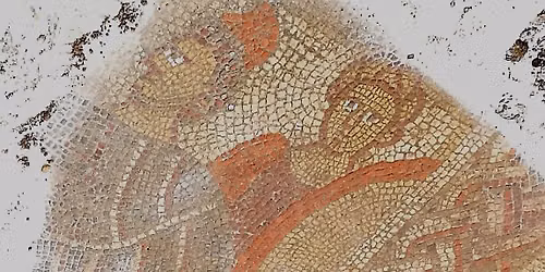 Talk and Social . The Rutland Roman Mosaic Story