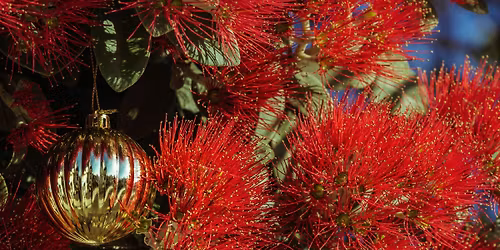 Orion Point Christmas Market Day