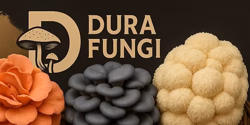 Exotic Mushrooms Sale